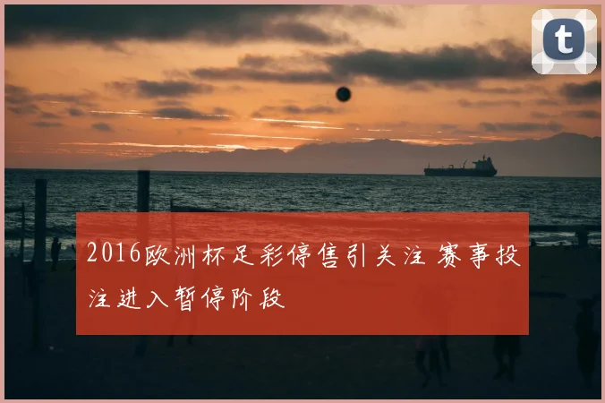 2016欧洲杯足彩停售引关注 赛事投注进入暂停阶段