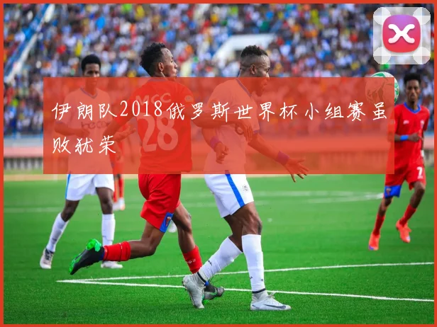 伊朗队2018俄罗斯世界杯小组赛虽败犹荣