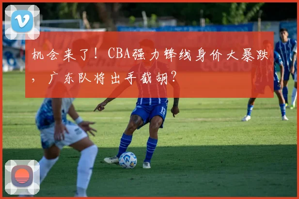 机会来了!CBA强力锋线身价大暴跌,广东队将出手截胡?